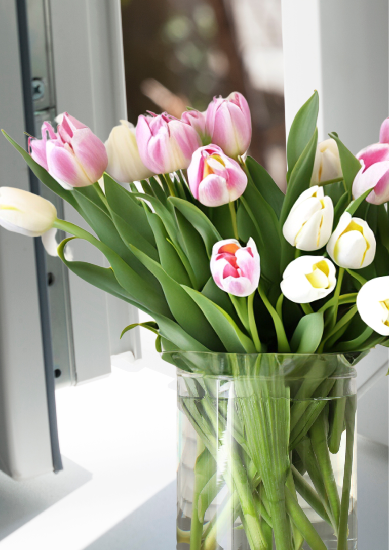 VirtuAssist Premium-virtual assistant werk uitbesteden
